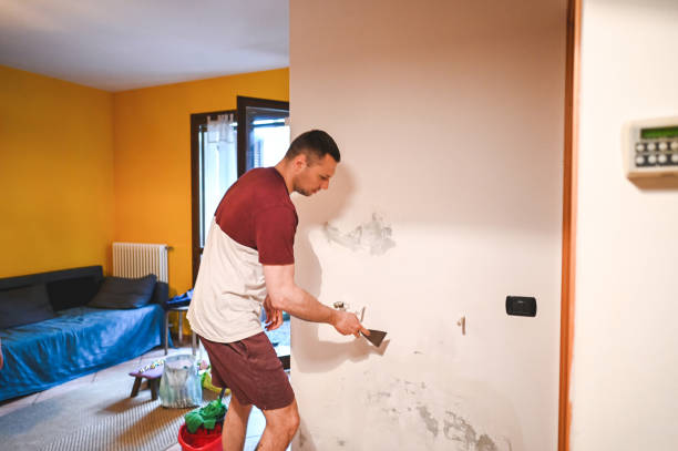 Best DIY Mold Remediation Support Services in Yarmouth Port, MA