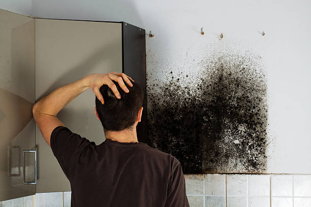 Best Bathroom Mold Remediation in Yarmouth Port, MA